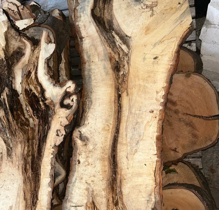 gestockte Kastanienbohle 